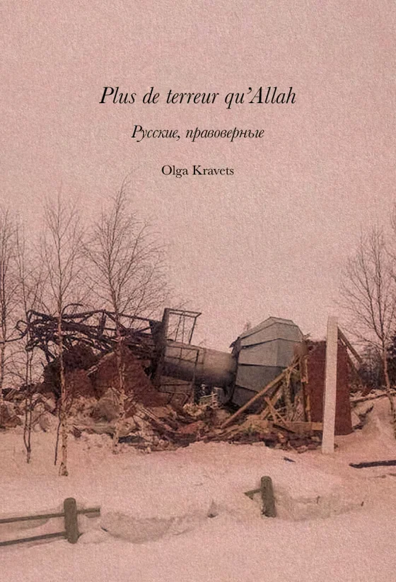 Plus de terreur qu'Allah book cover